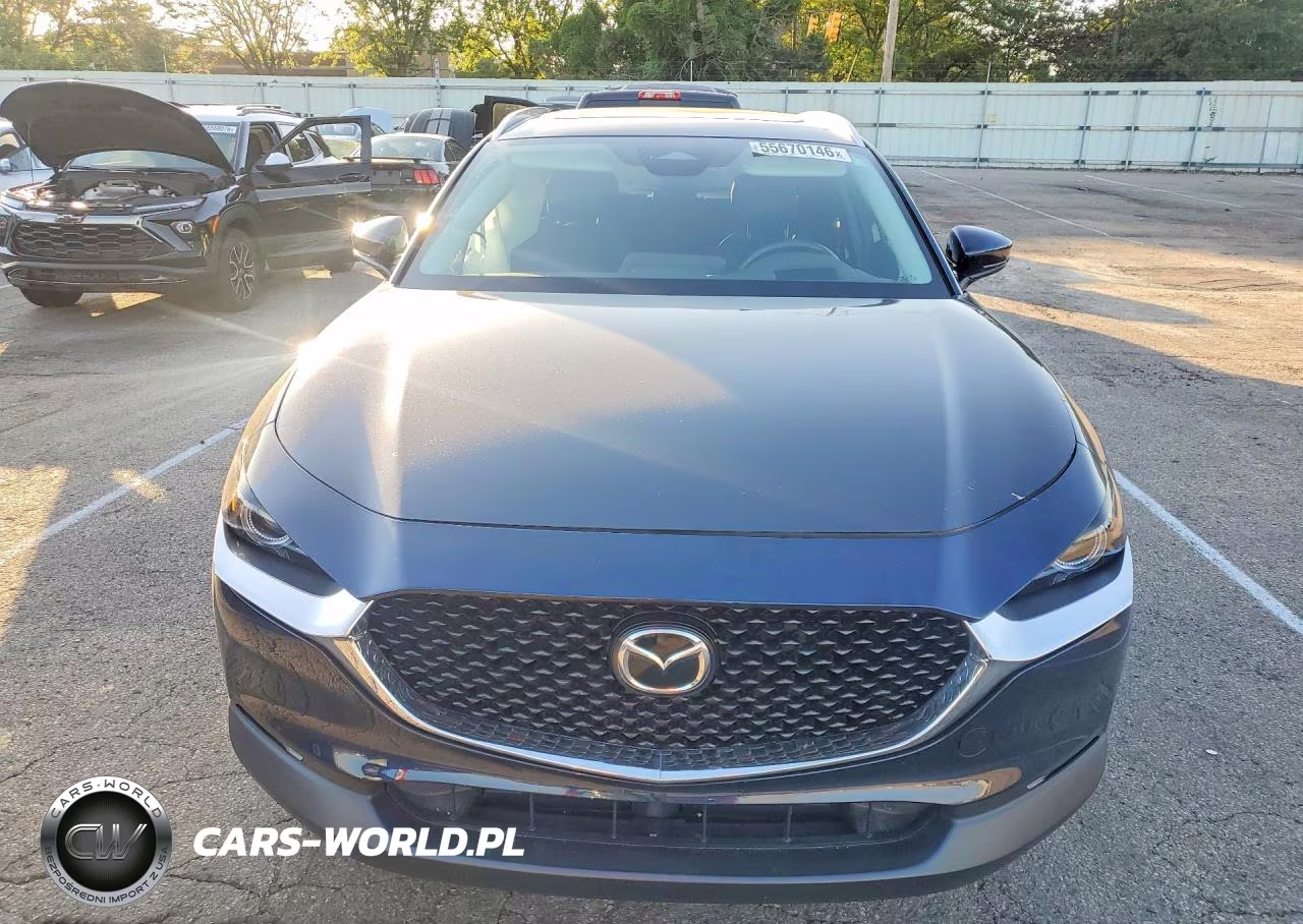 2024 Mazda Cx-30 Premium VIN:3MVDMBDM1RM622596 - 5