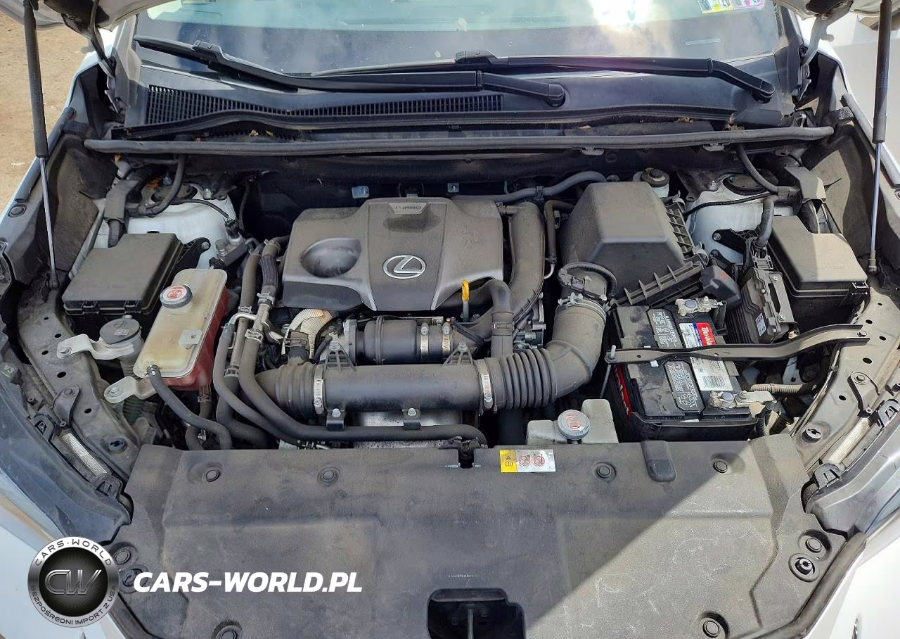 2018 Lexus Nx 300 Base VIN:JTJBARBZ1J2162650 - 12