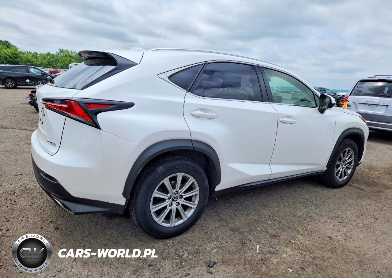 2018 Lexus Nx 300 Base VIN:JTJBARBZ1J2162650 - 3