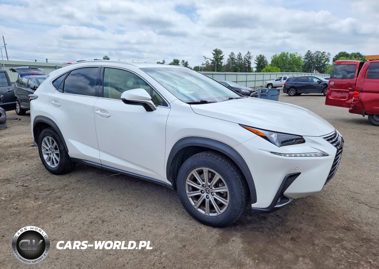 2018 Lexus Nx 300 Base VIN:JTJBARBZ1J2162650 - 4