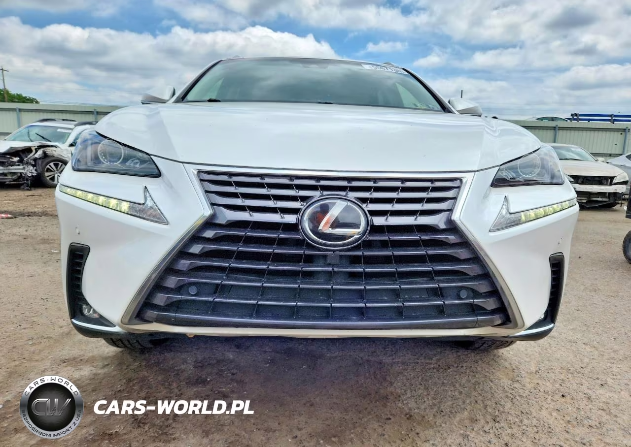 2018 Lexus Nx 300 Base VIN:JTJBARBZ1J2162650 - 5