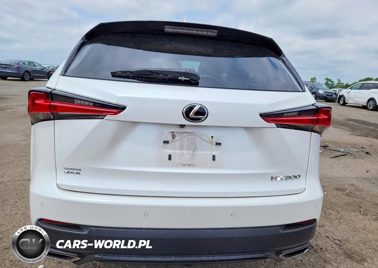 2018 Lexus Nx 300 Base VIN:JTJBARBZ1J2162650 - 6