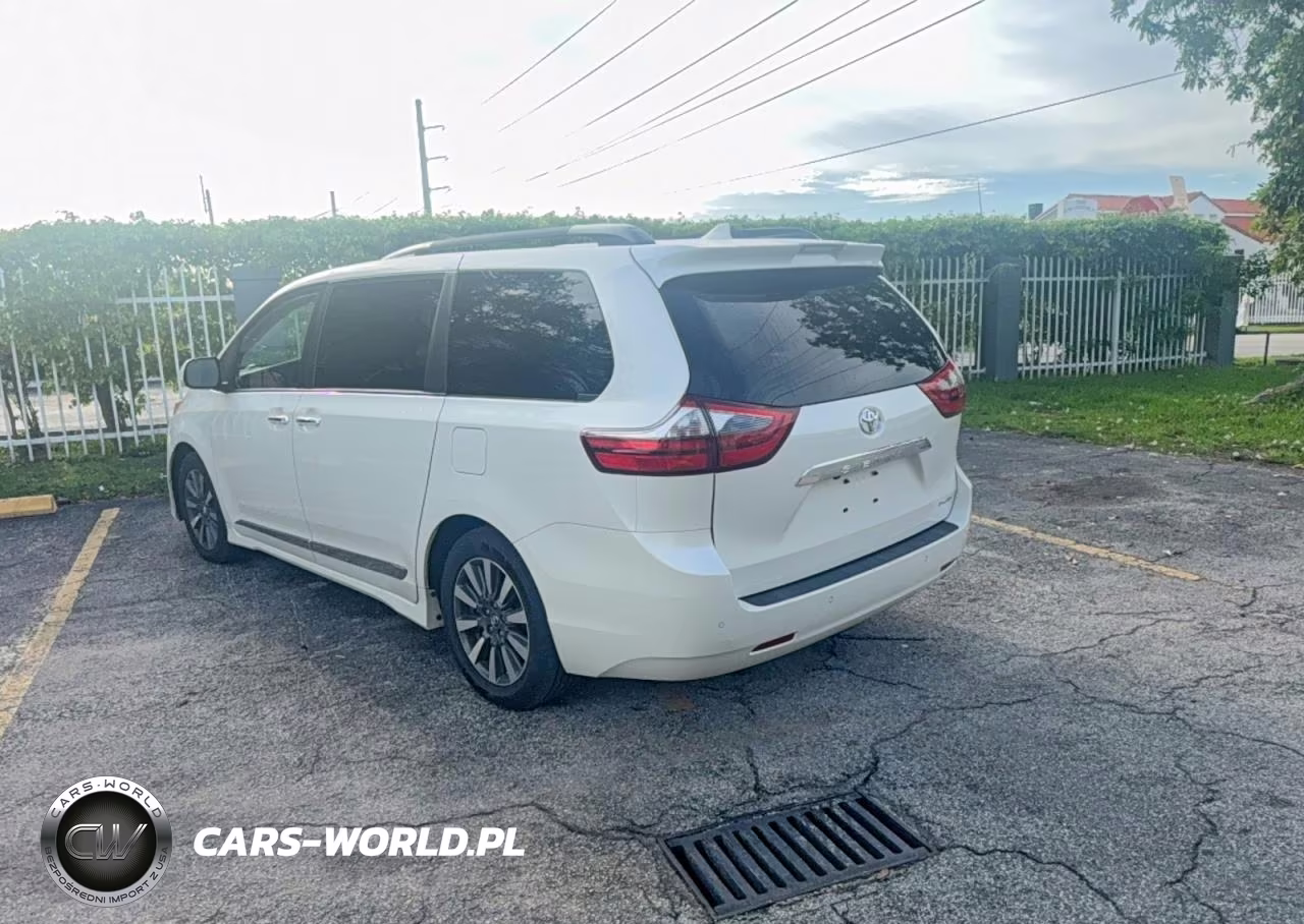 2020 Toyota Sienna Xle VIN:5TDYZ3DC5LS025251 - 3
