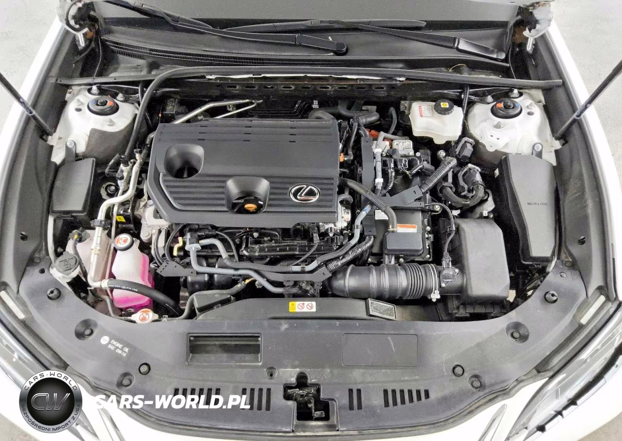2025 Lexus Es 300H Base VIN:58ADA1C10SU063155 - 11