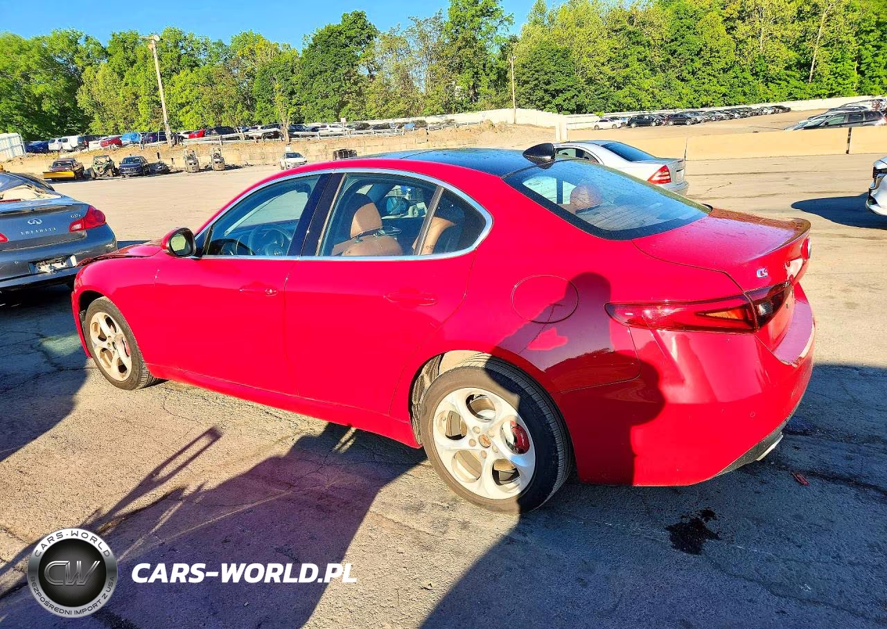2019 Alfa Romeo Giulia VIN:ZARFANAN7K7601579 - 2