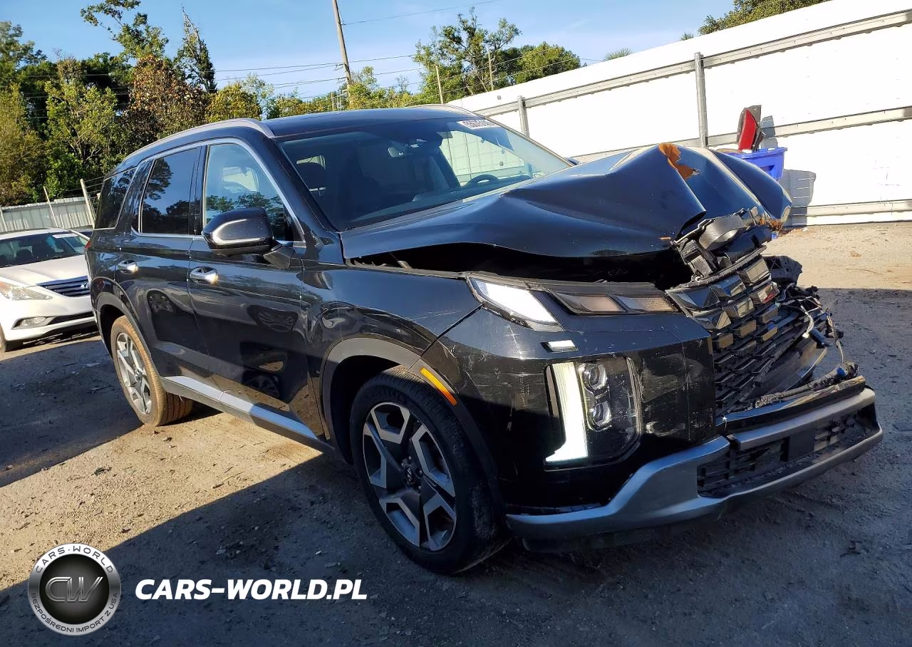 2024 Hyundai Palisade Limited VIN:KM8R5DGE3RU652100 - 4