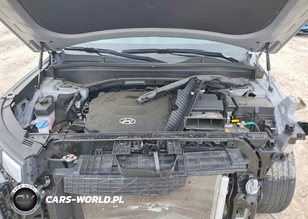 2023 Hyundai Palisade Calligraphy VIN:KM8R74GE2PU522364 - 12