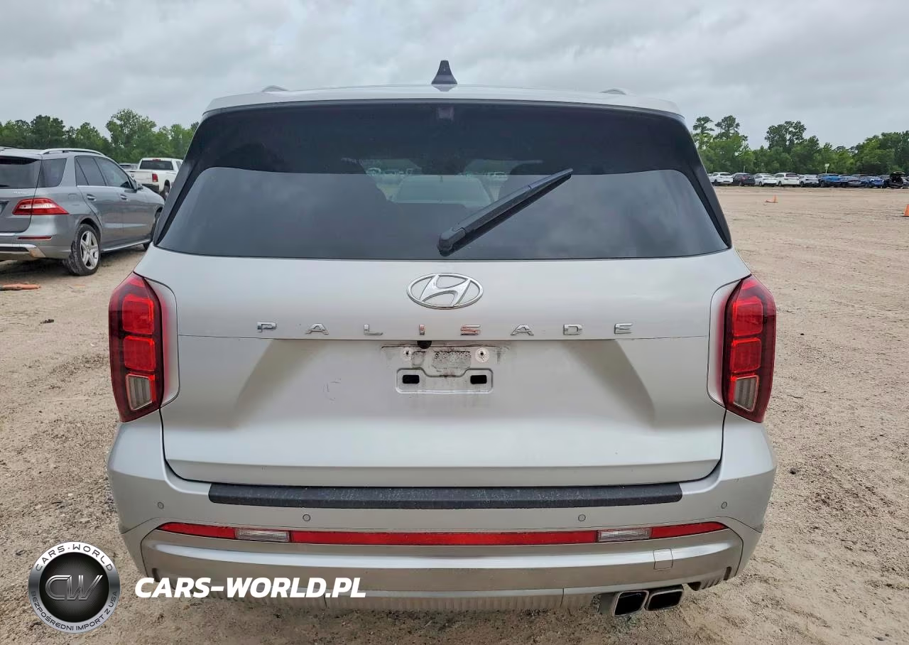 2023 Hyundai Palisade Calligraphy VIN:KM8R74GE2PU522364 - 6