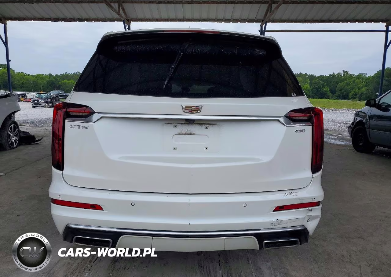 2020 Cadillac Xt6 Premium Luxury VIN:1GYKPCRS6LZ237841 - 6
