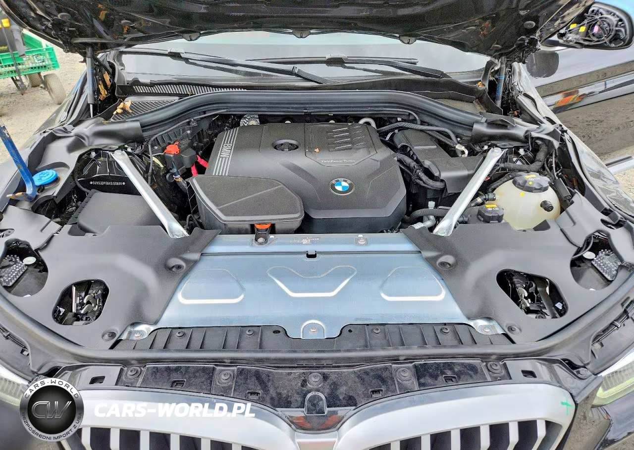 2022 BMW X3 xDrive30I VIN:5UX53DP06N9J50688 - 12