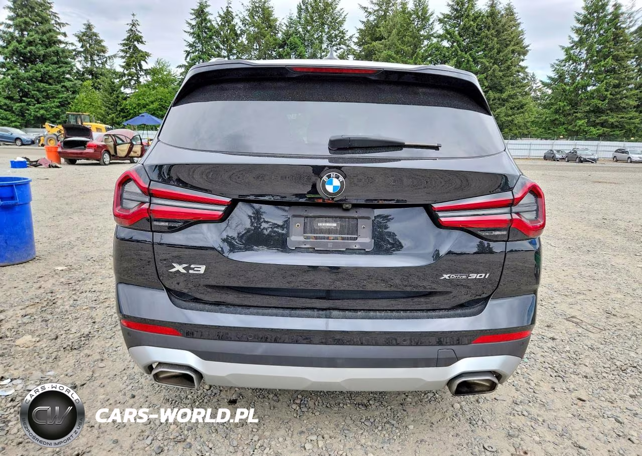 2022 BMW X3 xDrive30I VIN:5UX53DP06N9J50688 - 6