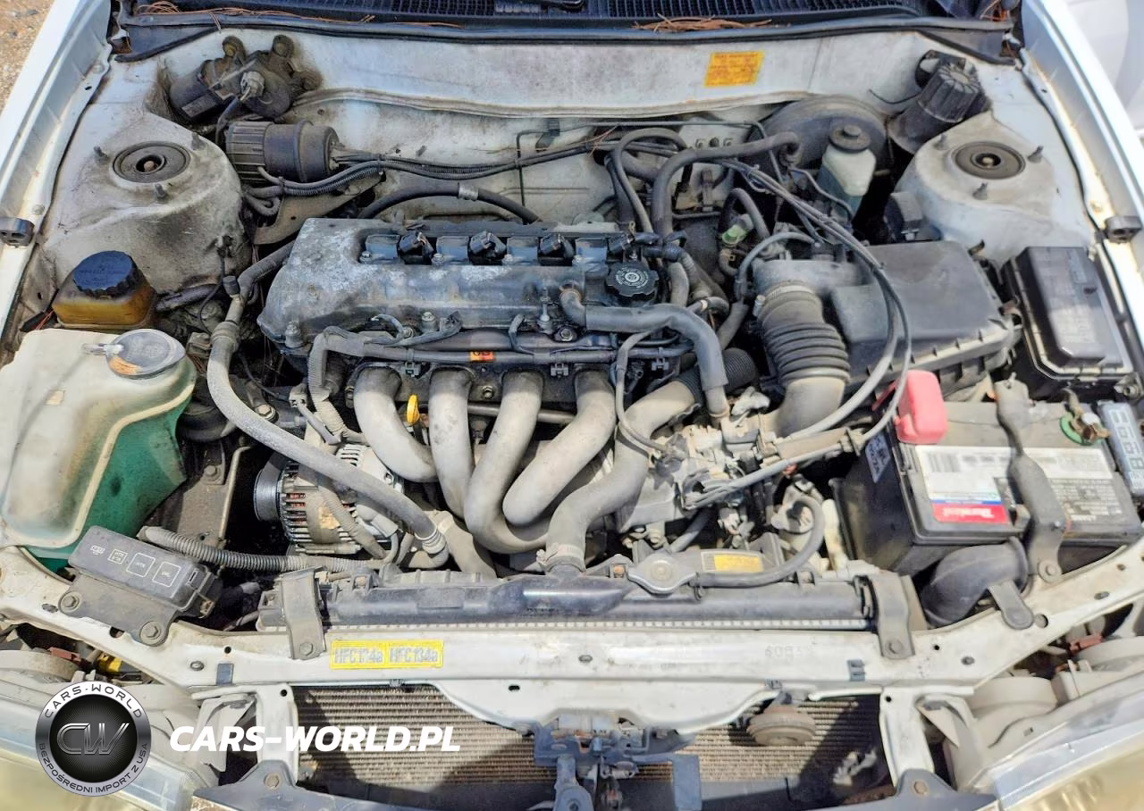 2001 Toyota Corolla Le VIN:1NXBR12E31Z462930 - 11