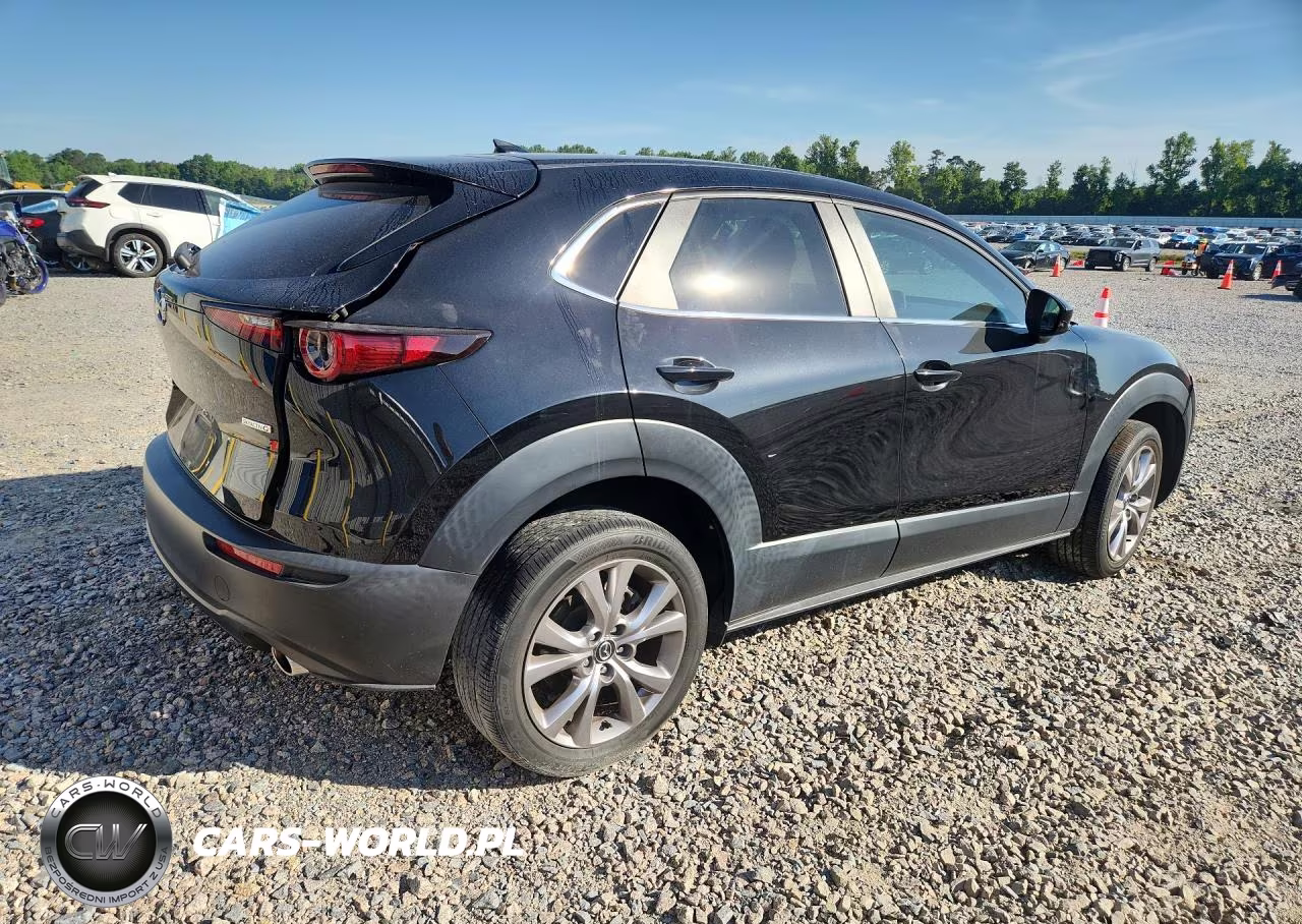 2020 Mazda Cx-30 Preferred VIN:3MVDMBDL2LM116337 - 3