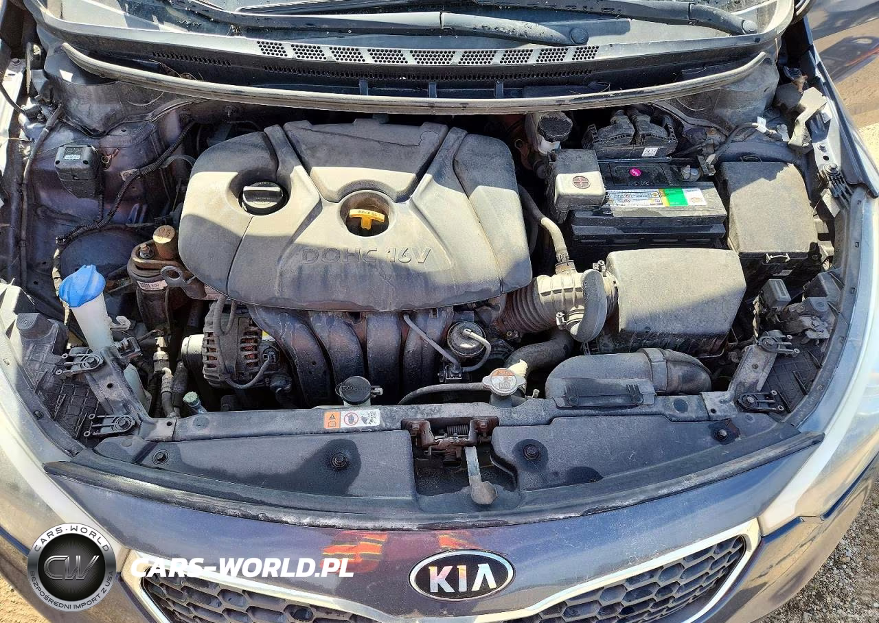 2016 Kia Forte Lx VIN:KNAFK4A67G5610583 - 11