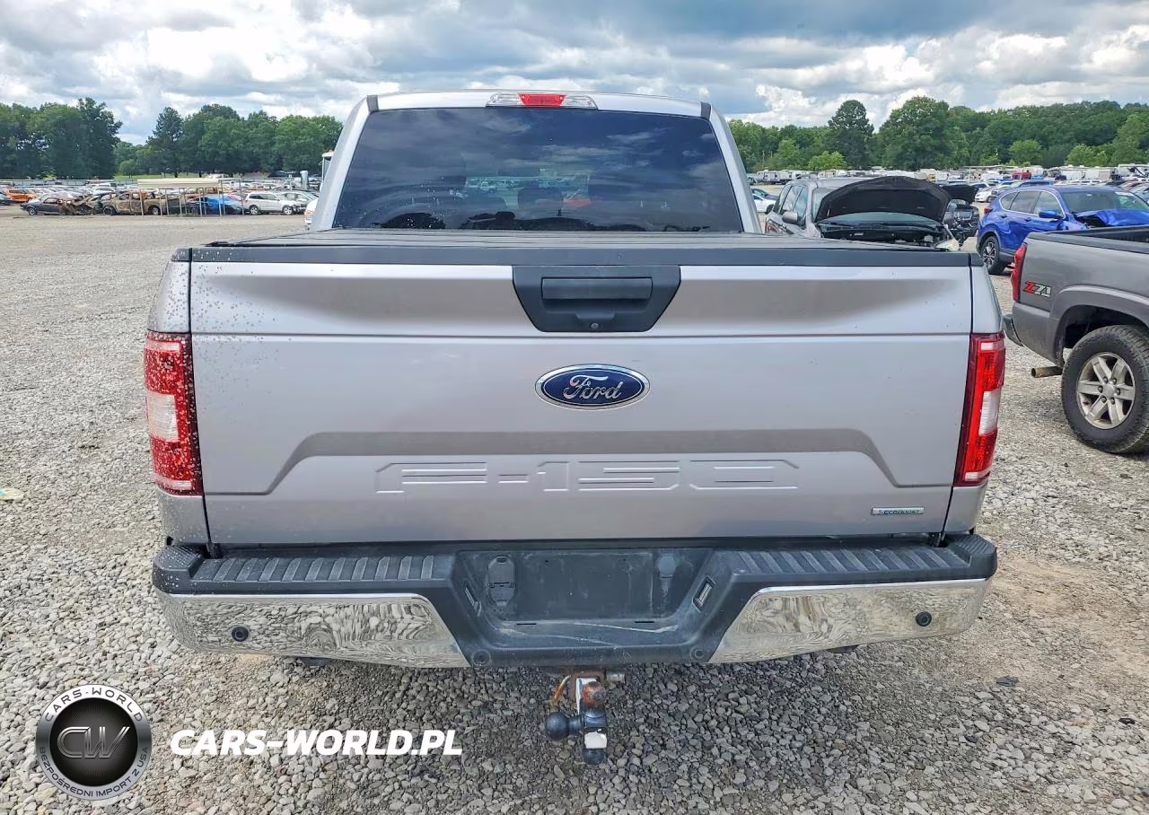 2020 Ford F150 Supercrew VIN:1FTEW1EP5LKE09295 - 6