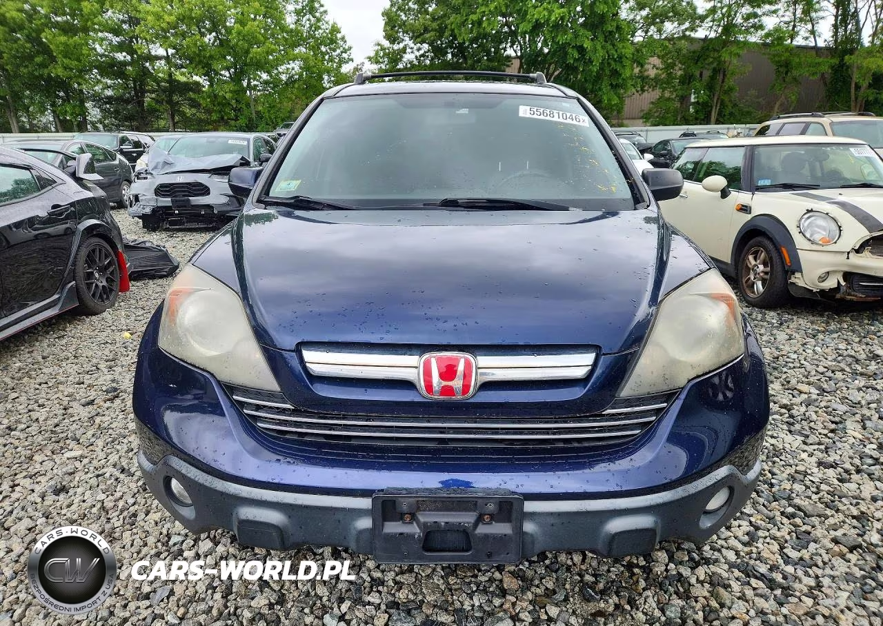 2007 Honda Cr-V Exl VIN:JHLRE48767C038569 - 5