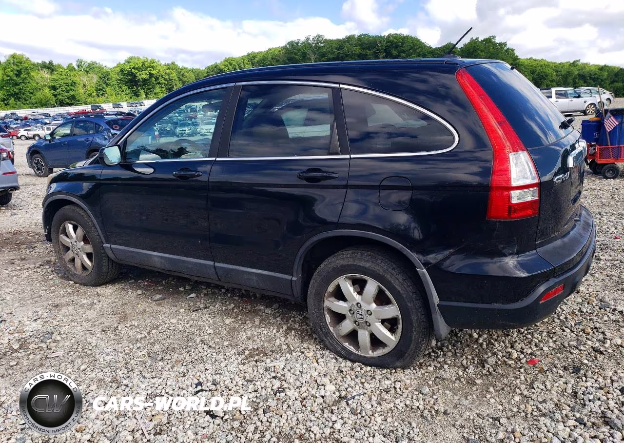 2009 Honda Cr-V Exl VIN:5J6RE48779L031754 - 2