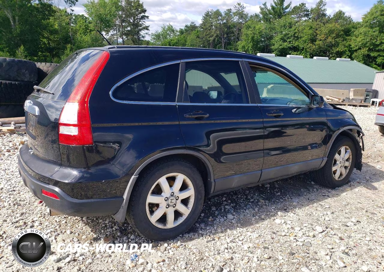 2009 Honda Cr-V Exl VIN:5J6RE48779L031754 - 3