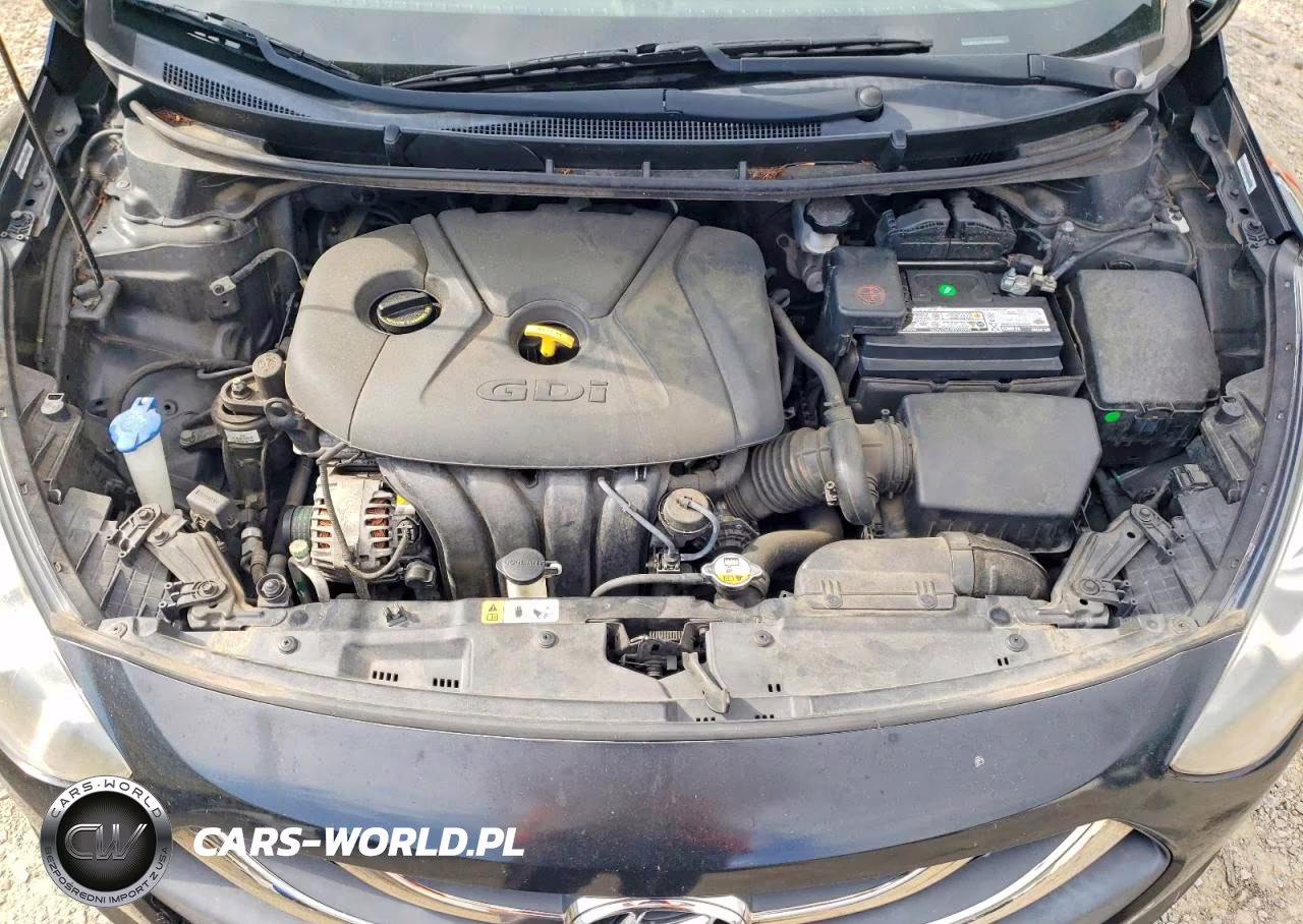 2014 Hyundai Elantra Gt Base VIN:KMHD35LH4EU219479 - 12