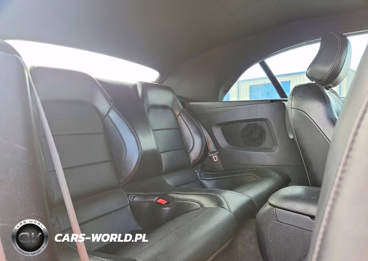 2019 Ford Mustang Gt VIN:1FATP8FF4K5171946 - 10