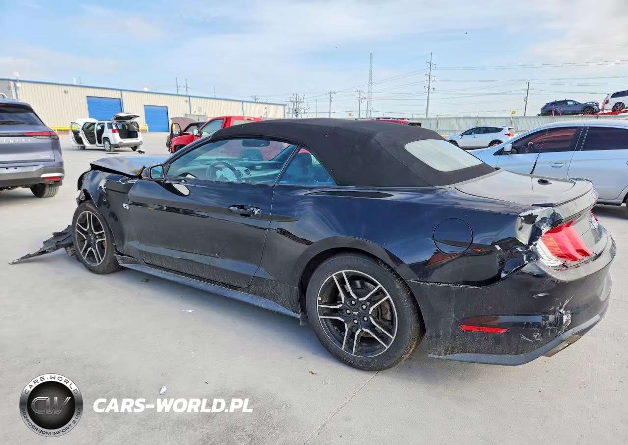 2019 Ford Mustang Gt VIN:1FATP8FF4K5171946 - 2