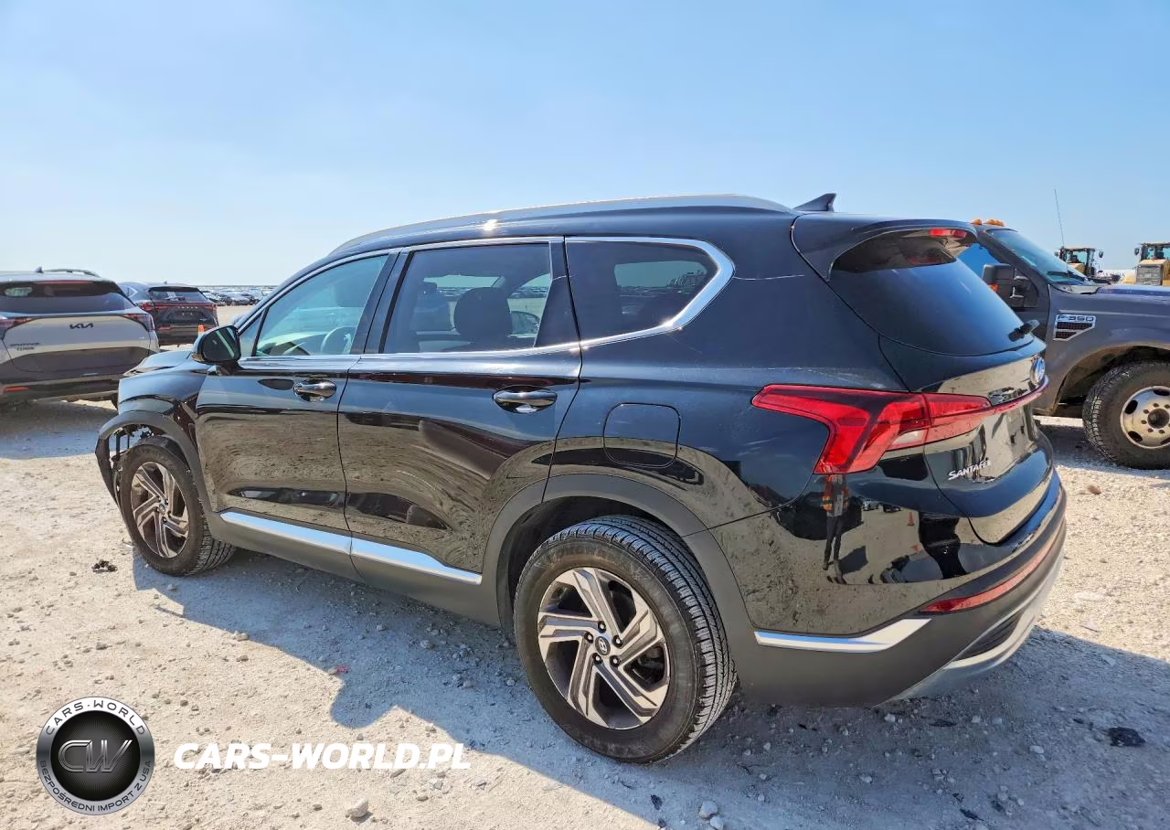 2021 Hyundai Santa Fe Sel VIN:5NMS24AJXMH321647 - 2