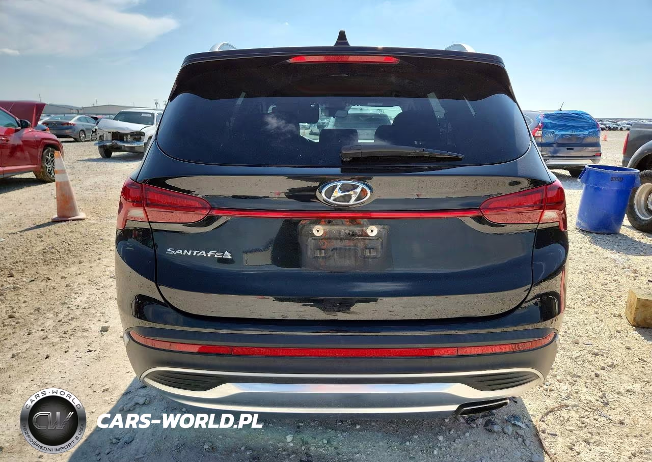 2021 Hyundai Santa Fe Sel VIN:5NMS24AJXMH321647 - 6