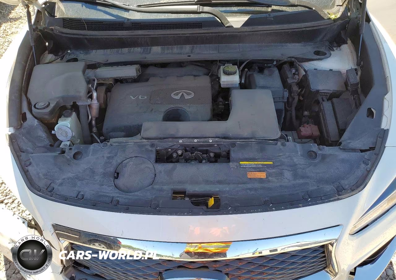 2020 Infiniti Qx60 Pure VIN:5N1DL0MM6LC534785 - 12