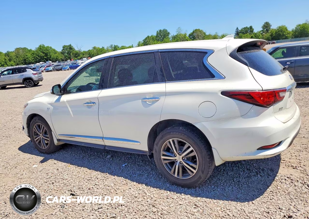 2020 Infiniti Qx60 Pure VIN:5N1DL0MM6LC534785 - 2