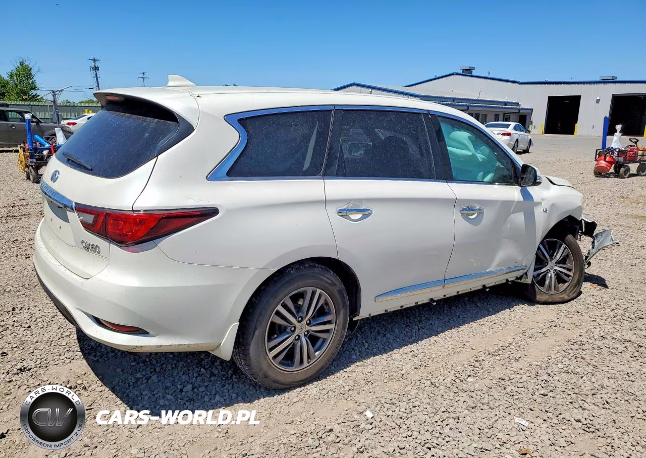 2020 Infiniti Qx60 Pure VIN:5N1DL0MM6LC534785 - 3