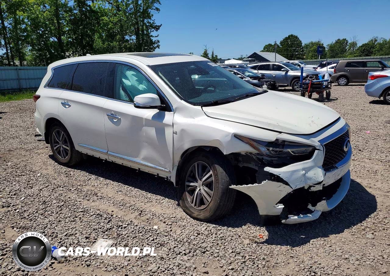2020 Infiniti Qx60 Pure VIN:5N1DL0MM6LC534785 - 4