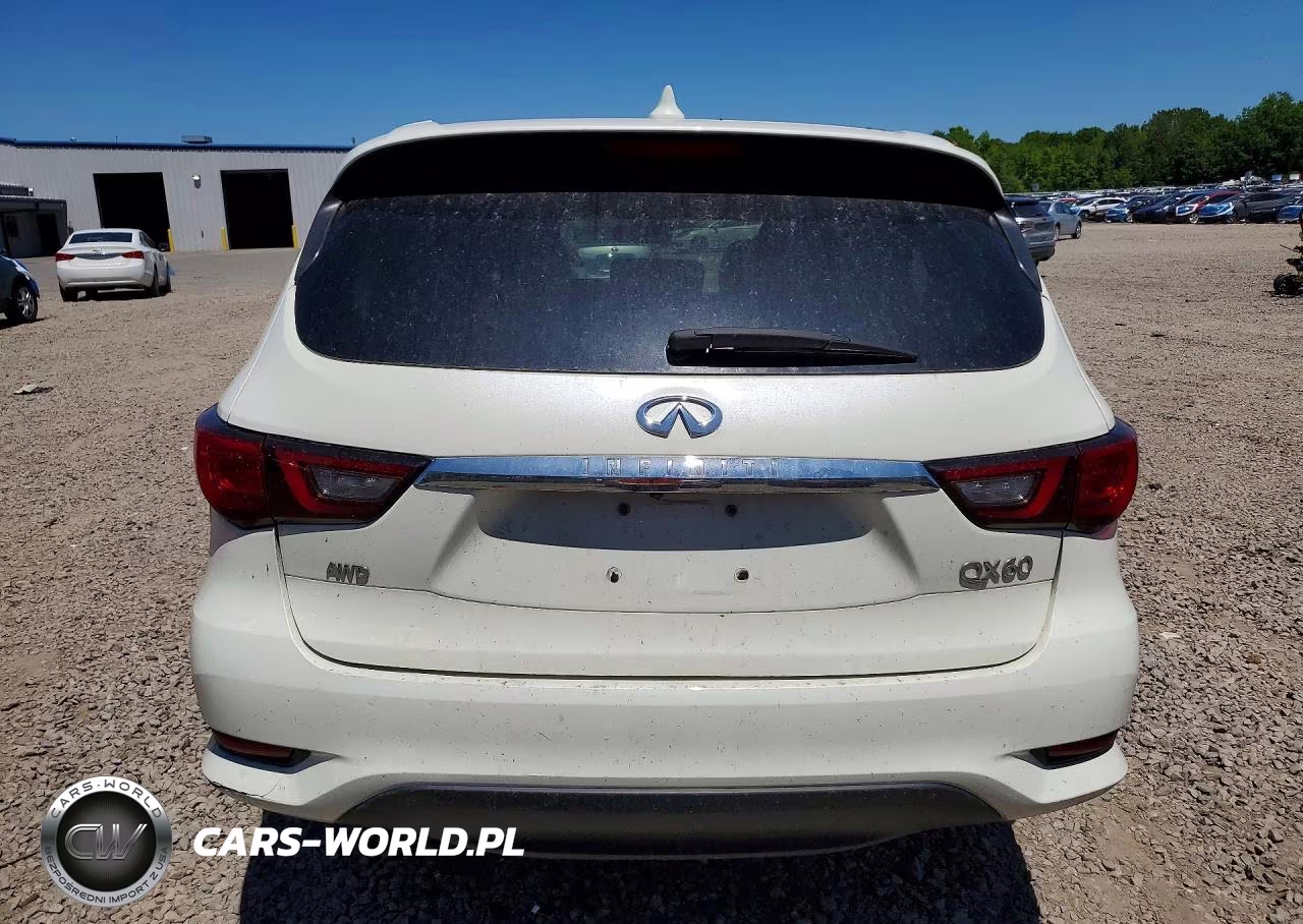 2020 Infiniti Qx60 Pure VIN:5N1DL0MM6LC534785 - 6