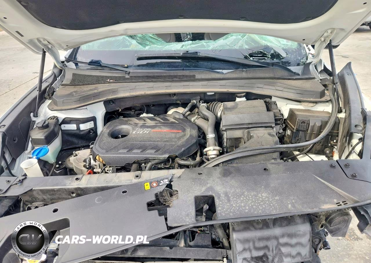 2019 Hyundai Santa Fe Limited 2.0T VIN:5NMS53AA2KH011247 - 12