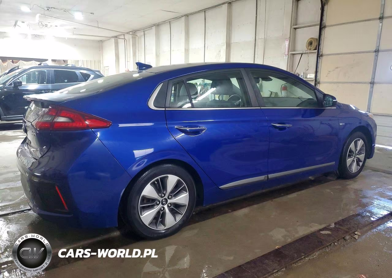 2019 Hyundai Ioniq Limited VIN:KMHC75LDXKU164934 - 3