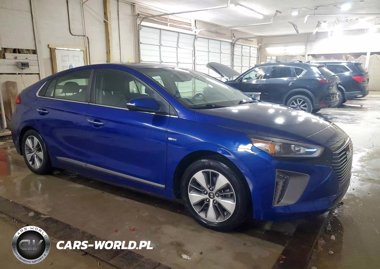 2019 Hyundai Ioniq Limited VIN:KMHC75LDXKU164934 - 4