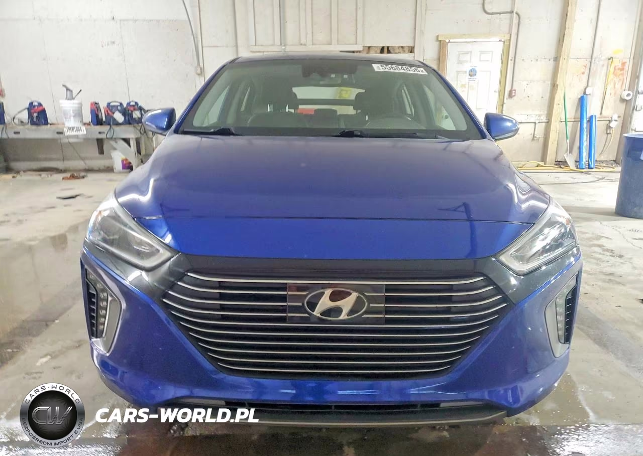 2019 Hyundai Ioniq Limited VIN:KMHC75LDXKU164934 - 5
