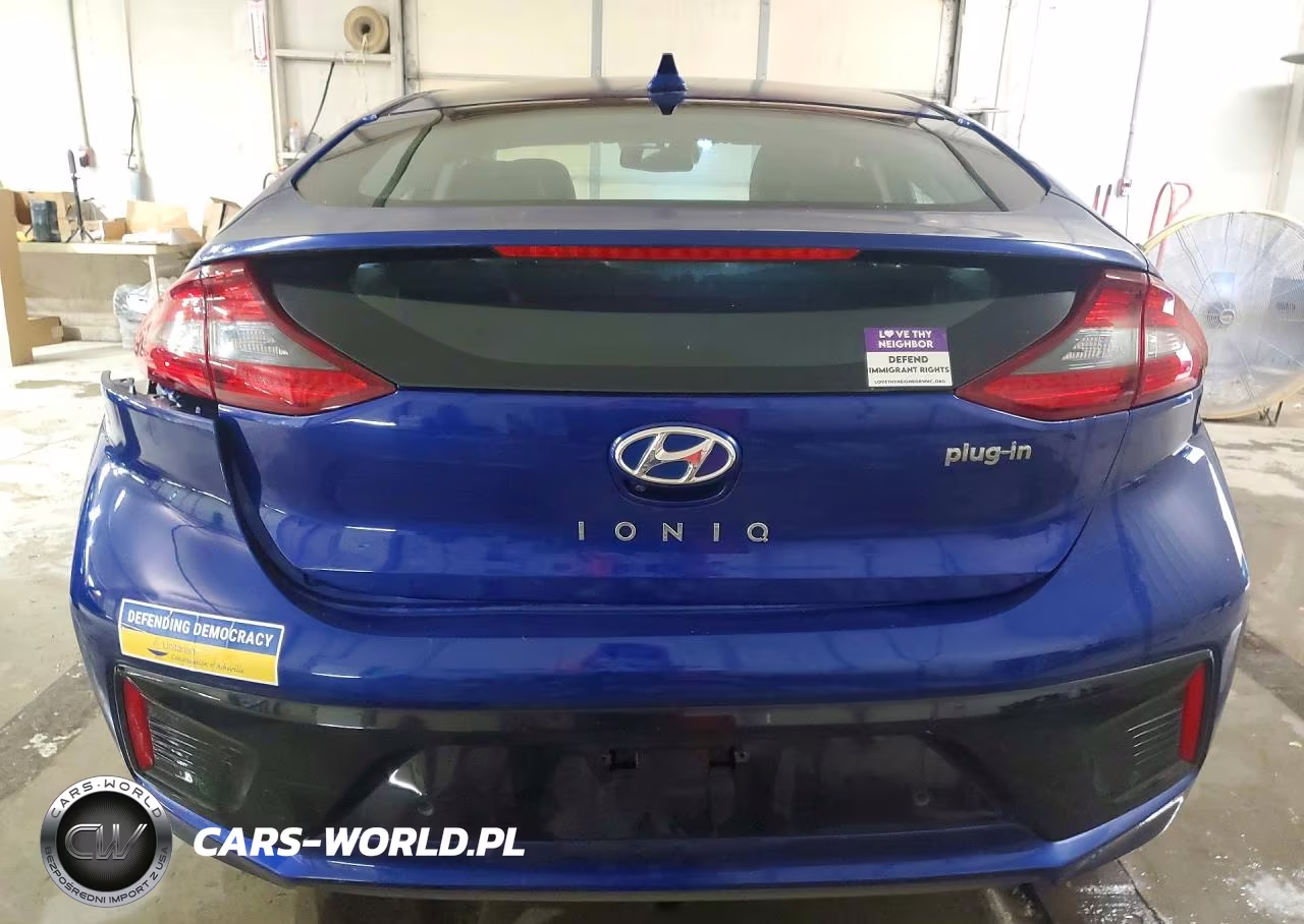 2019 Hyundai Ioniq Limited VIN:KMHC75LDXKU164934 - 6