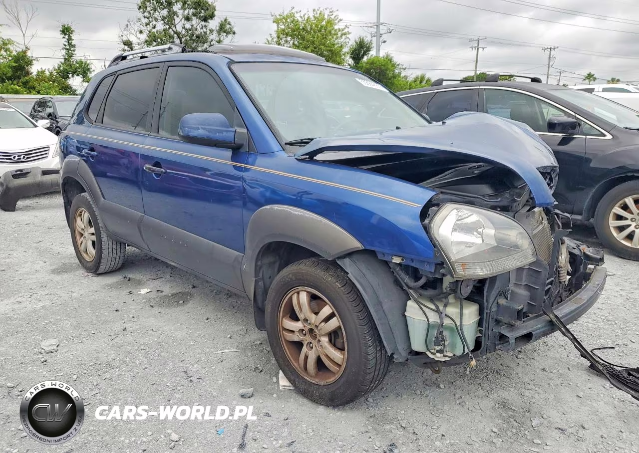 2006 Hyundai Tucson VIN:KM8JN12D86U295017 - 4