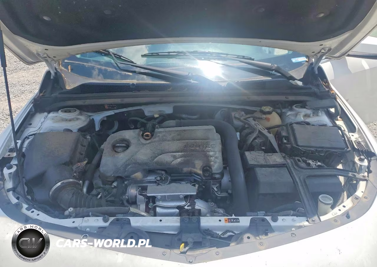 2019 Chevrolet Malibu Lt VIN:1G1ZD5ST0KF114234 - 11