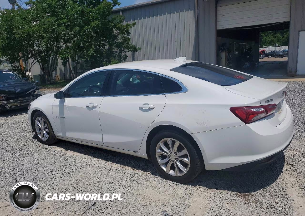 2019 Chevrolet Malibu Lt VIN:1G1ZD5ST0KF114234 - 2