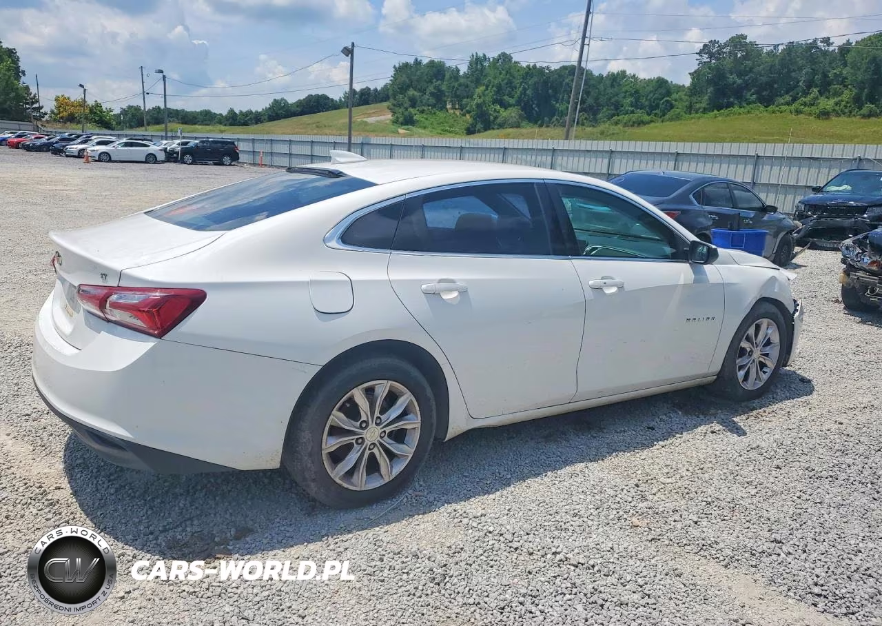 2019 Chevrolet Malibu Lt VIN:1G1ZD5ST0KF114234 - 3