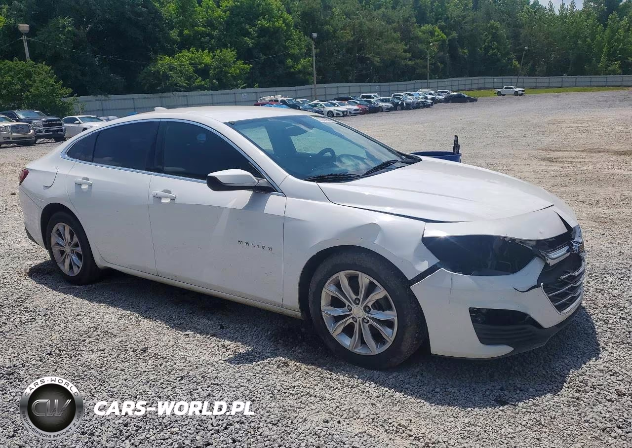 2019 Chevrolet Malibu Lt VIN:1G1ZD5ST0KF114234 - 4