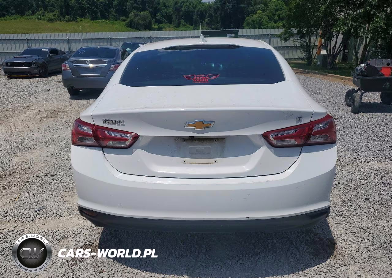 2019 Chevrolet Malibu Lt VIN:1G1ZD5ST0KF114234 - 6