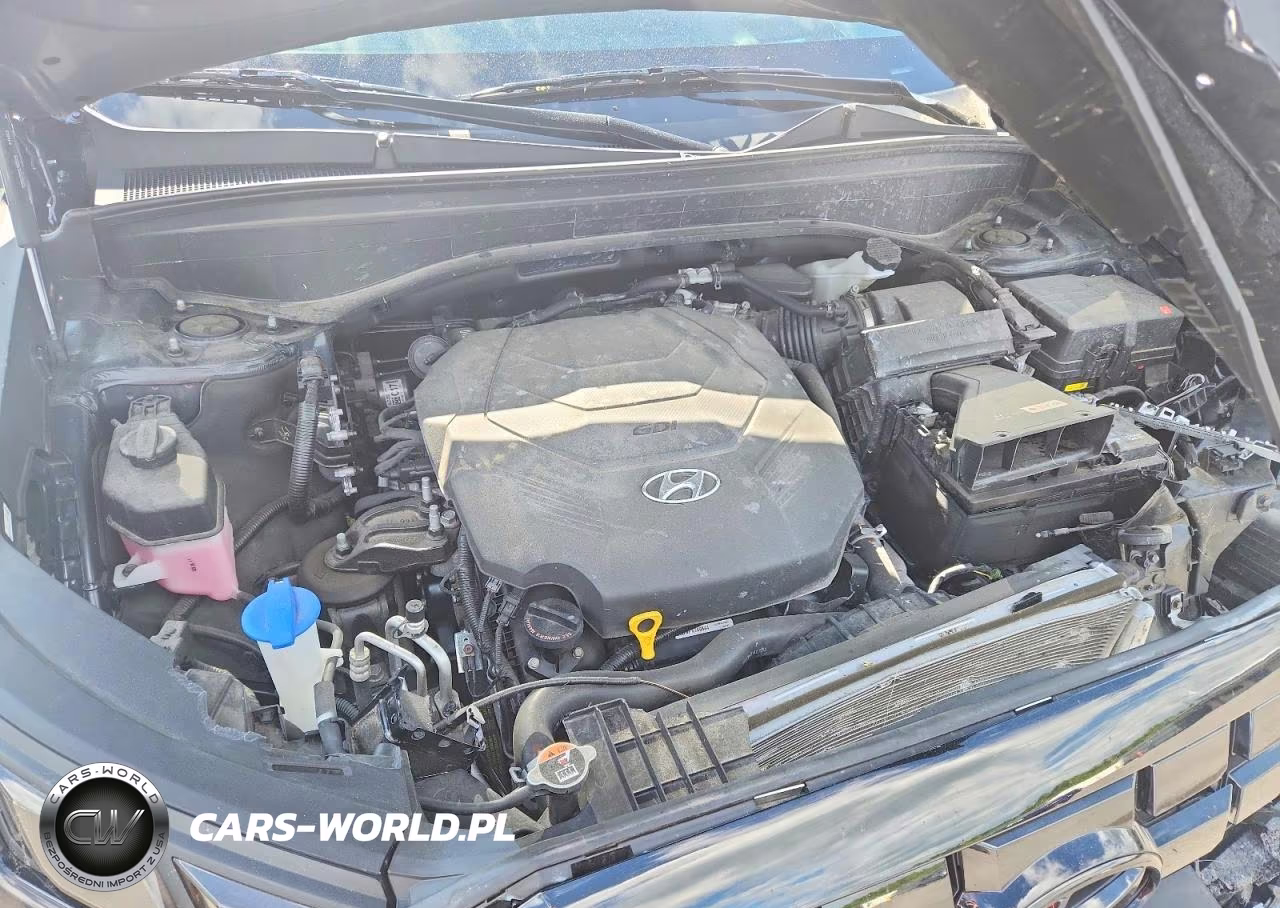 2024 Hyundai Palisade Limited VIN:KM8R5DGE7RU676643 - 12