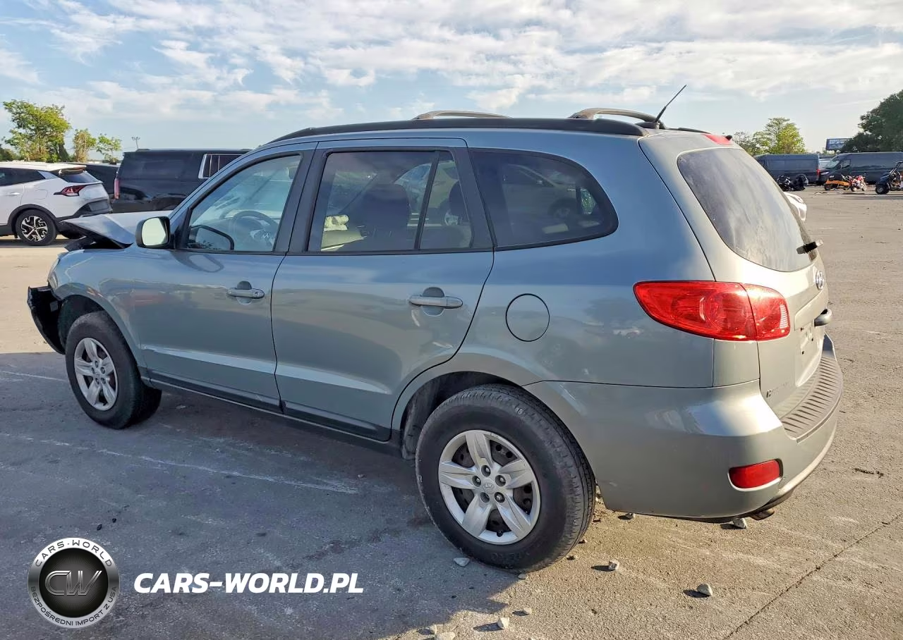 2009 Hyundai Santa Fe Gls VIN:5NMSG73D89H259408 - 2