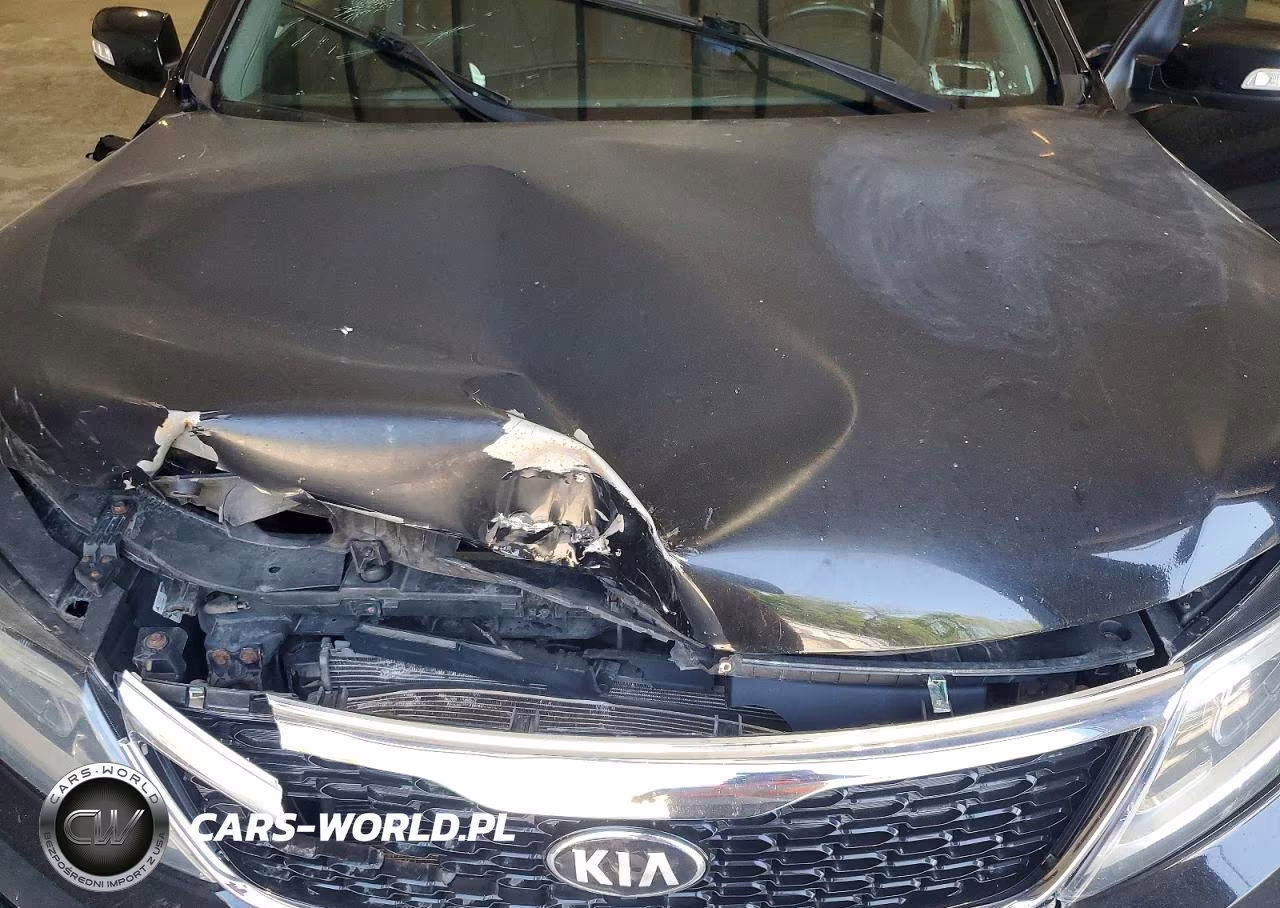2014 Kia Sorento Lx VIN:5XYKTCA6XEG479467 - 12