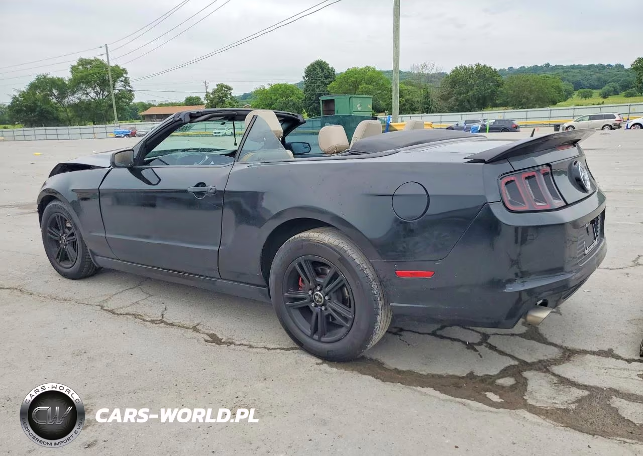 2014 Ford Mustang VIN:1ZVBP8EM1E5322782 - 2