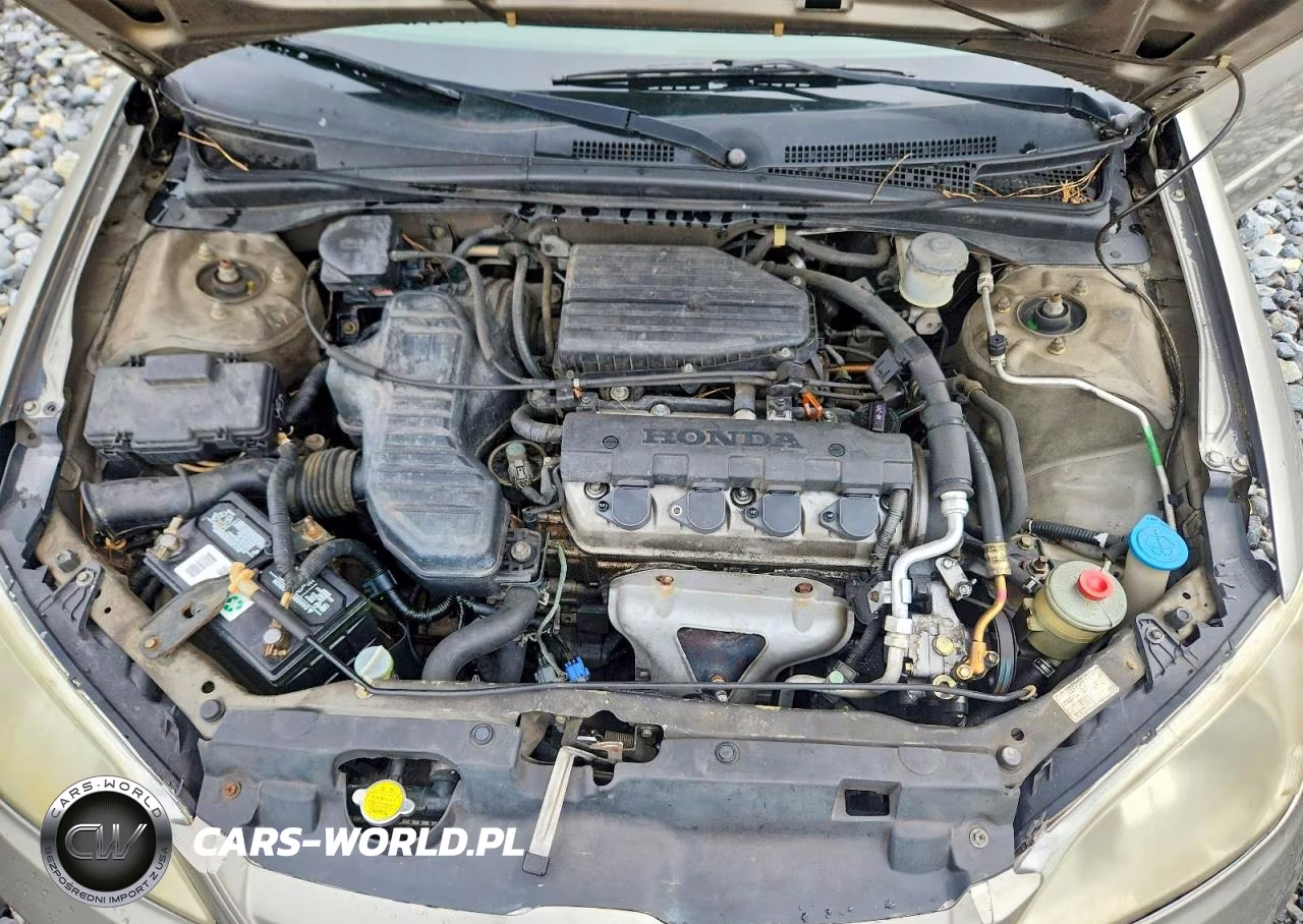 2004 Honda Civic Lx VIN:2HGES16554H606907 - 11