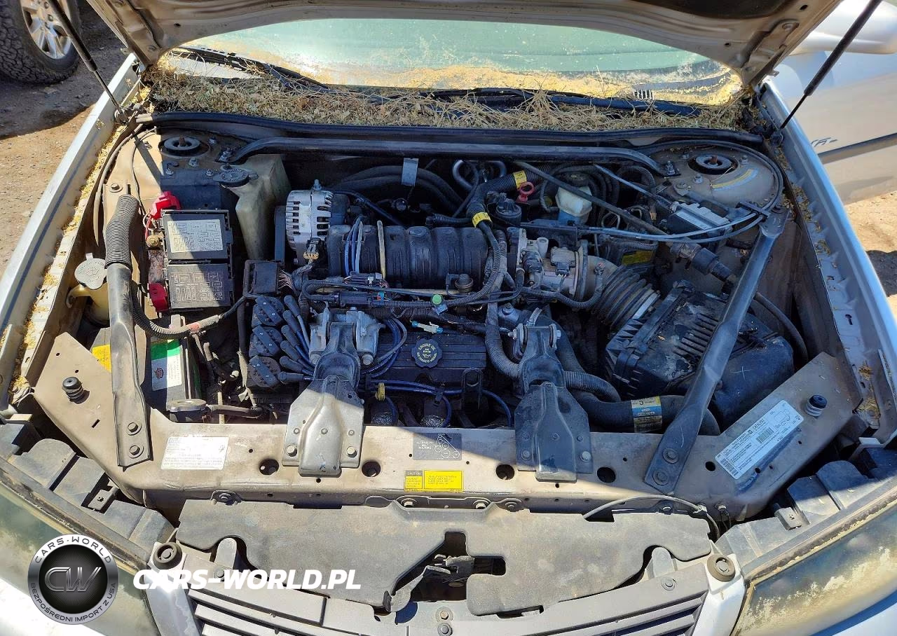 2000 Chevrolet Impala VIN:2G1WH55K2Y9195636 - 11