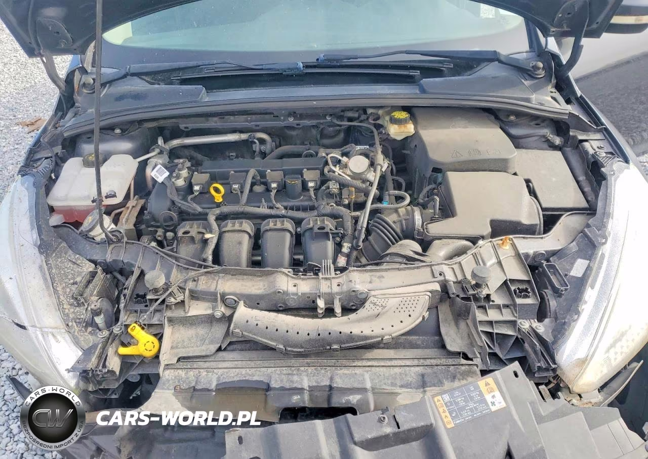 2017 Ford Focus Se VIN:1FADP3F21HL241735 - 11